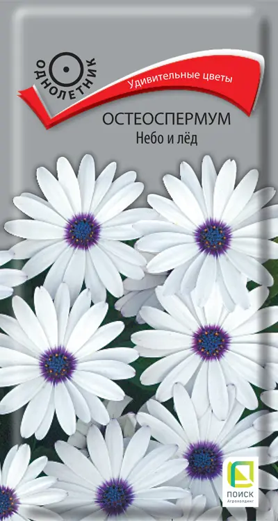 

Семена остеоспермум Небо и лед SSS-83577543 1 уп.