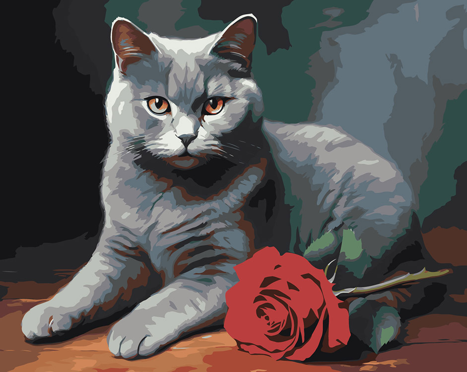 Картина по номерам Цветное Британский кот с красной розой