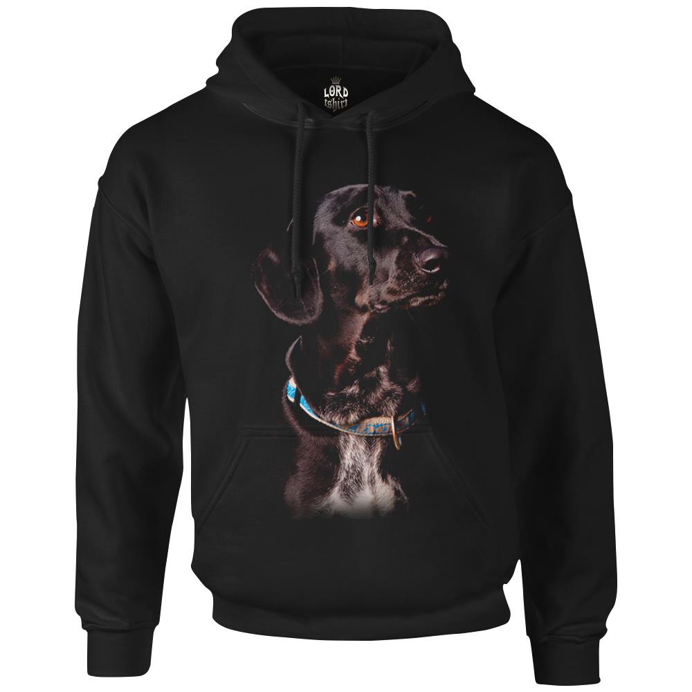 

Толстовка мужская Lord Tshirt PH-249 черная S (доставка из-за рубежа), Черный, PH-249