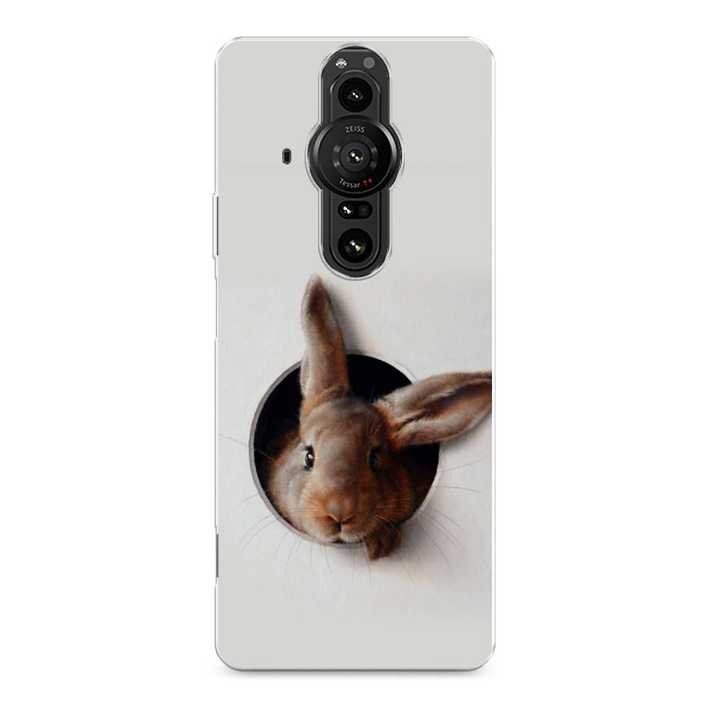 

Чехол на Sony Xperia Pro-I "Любопытный кролик", Серый;коричневый, 55050-1