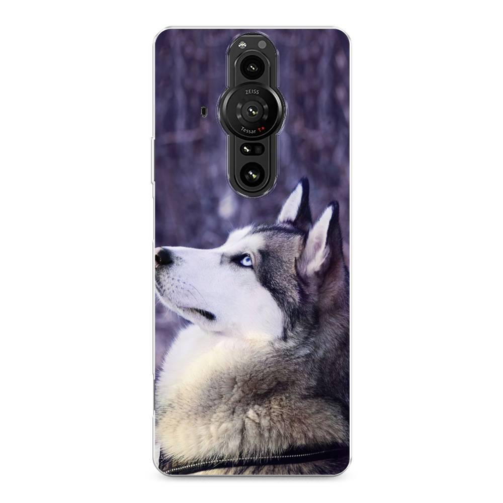 

Чехол на Sony Xperia Pro-I "Хаски 1", Фиолетовый;белый, 55050-1