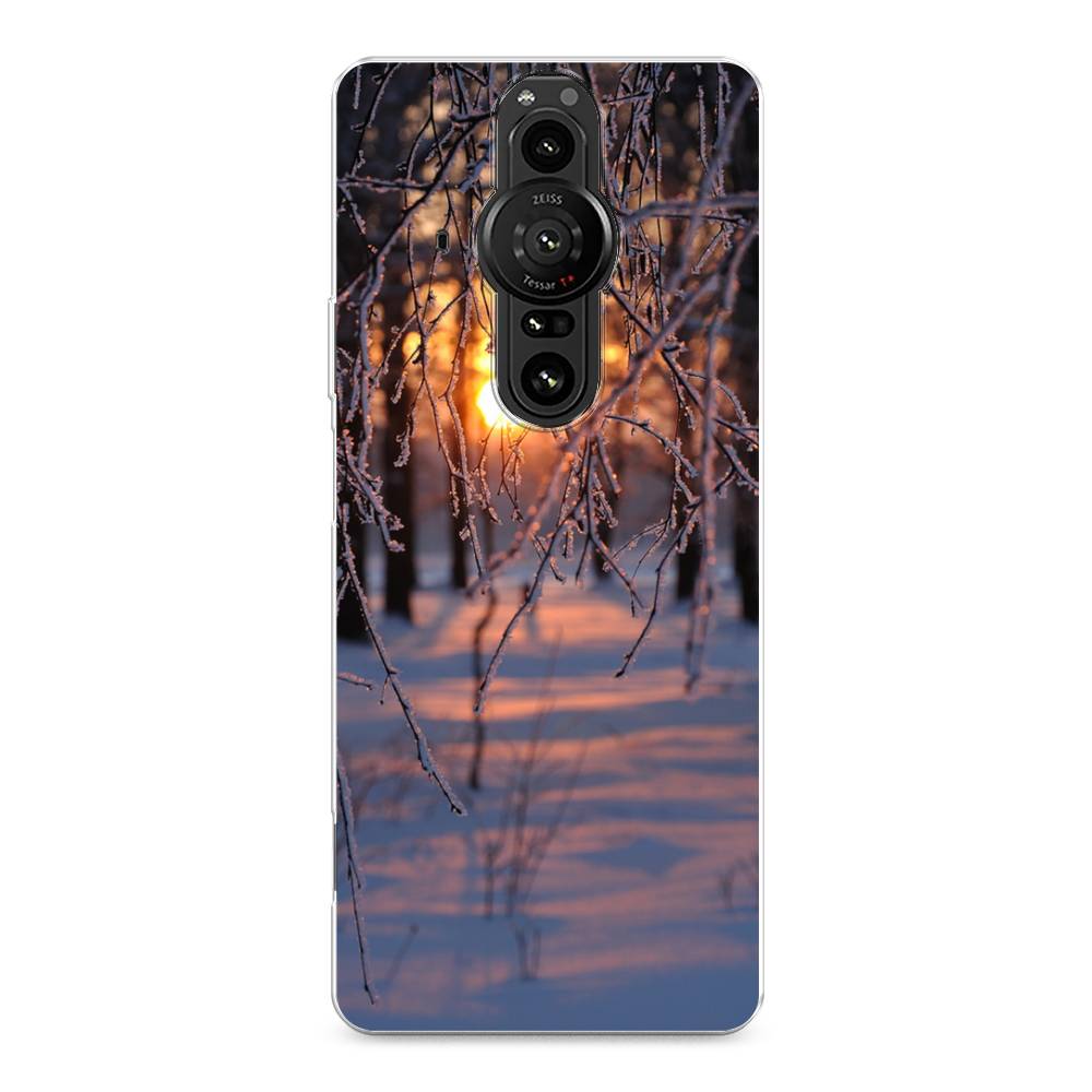 

Чехол на Sony Xperia Pro-I "Зима 7", Оранжевый;розовый;черный, 55050-2