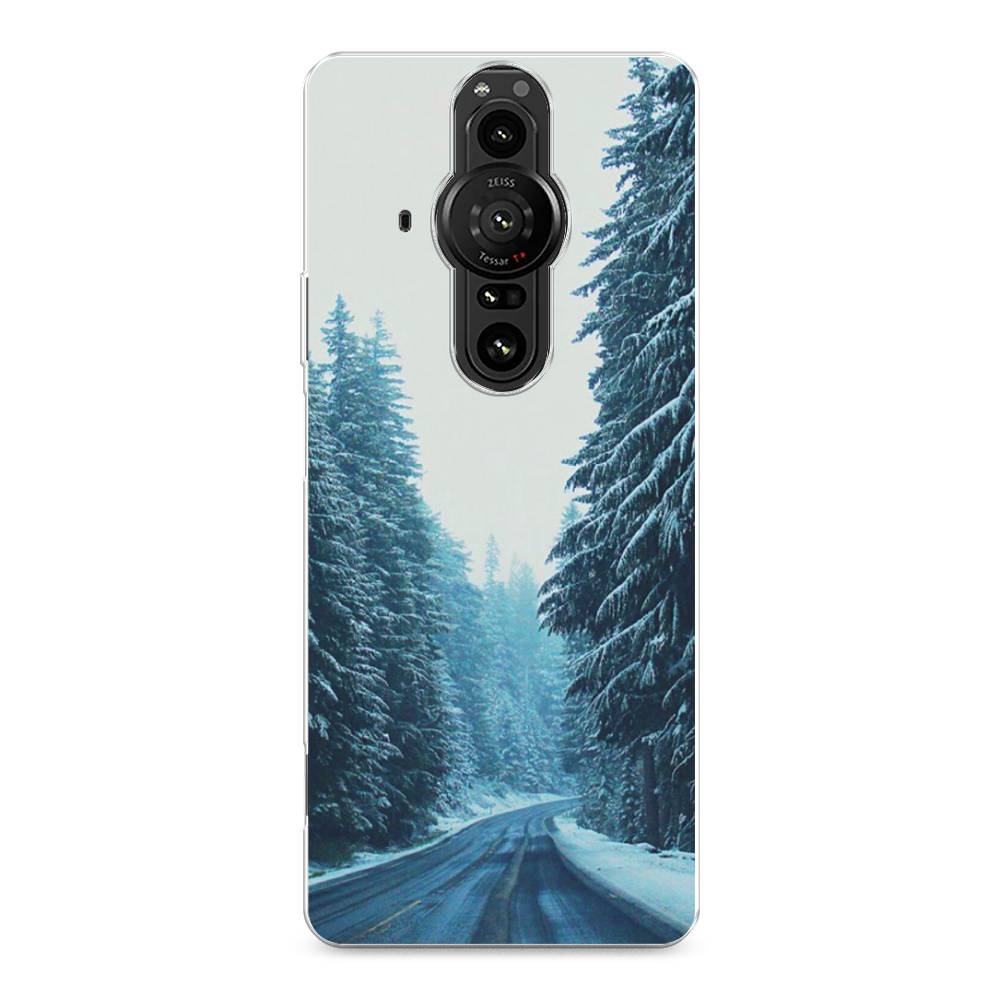

Чехол на Sony Xperia Pro-I "Зима 9", Бежевый;голубой;черный, 55050-2