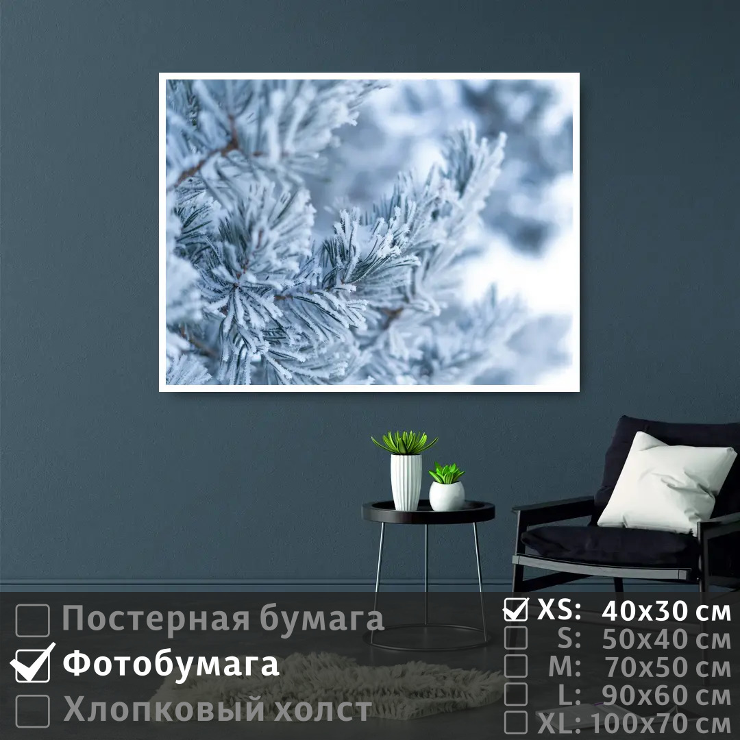 

Постер на фотобумаге ПолиЦентр Ветка сосны в зимнем лесу 40х30 см, ВеткаСосныВЗимнемЛесу