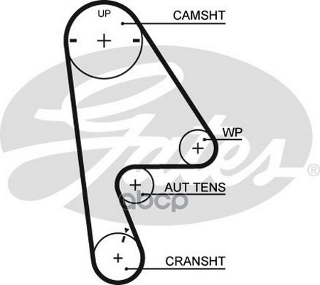 фото Ремень приводной gates 5410xs