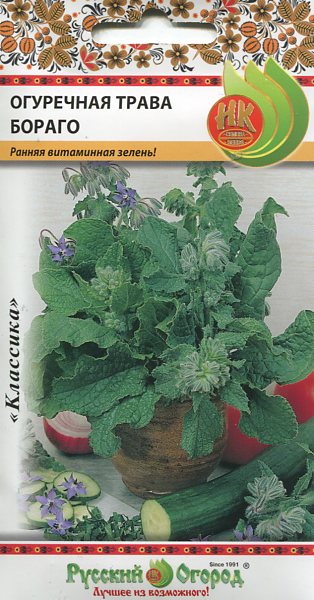 Семена огуречная трава Русский огород Бораго 308504 1 уп.