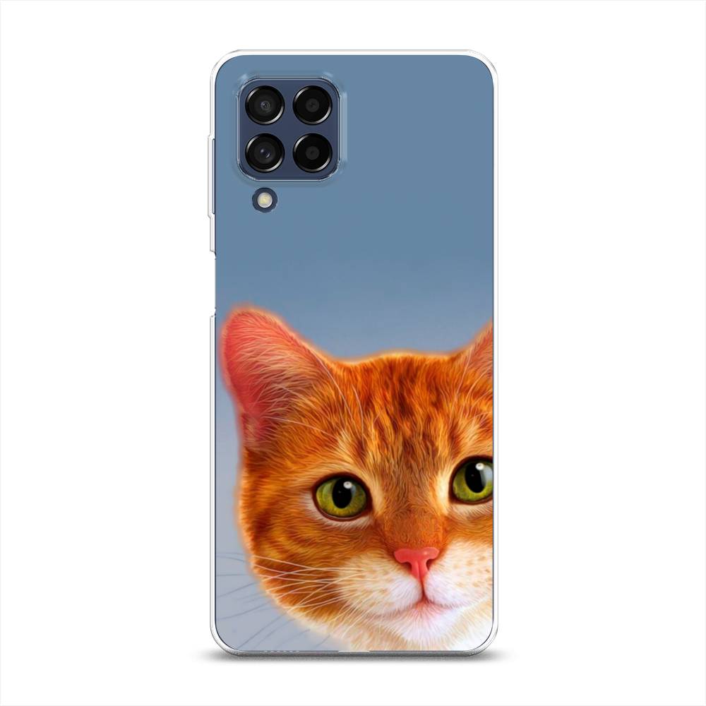 

Чехол на Samsung Galaxy M53 "Любопытный котик", Коричневый, 2105850-1