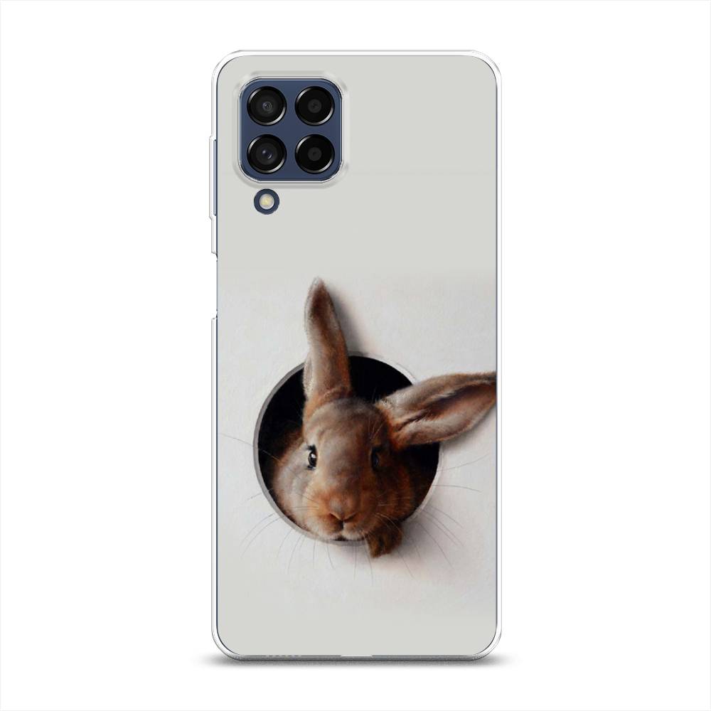 

Чехол на Samsung Galaxy M53 "Любопытный кролик", Серый;коричневый, 2105850-1