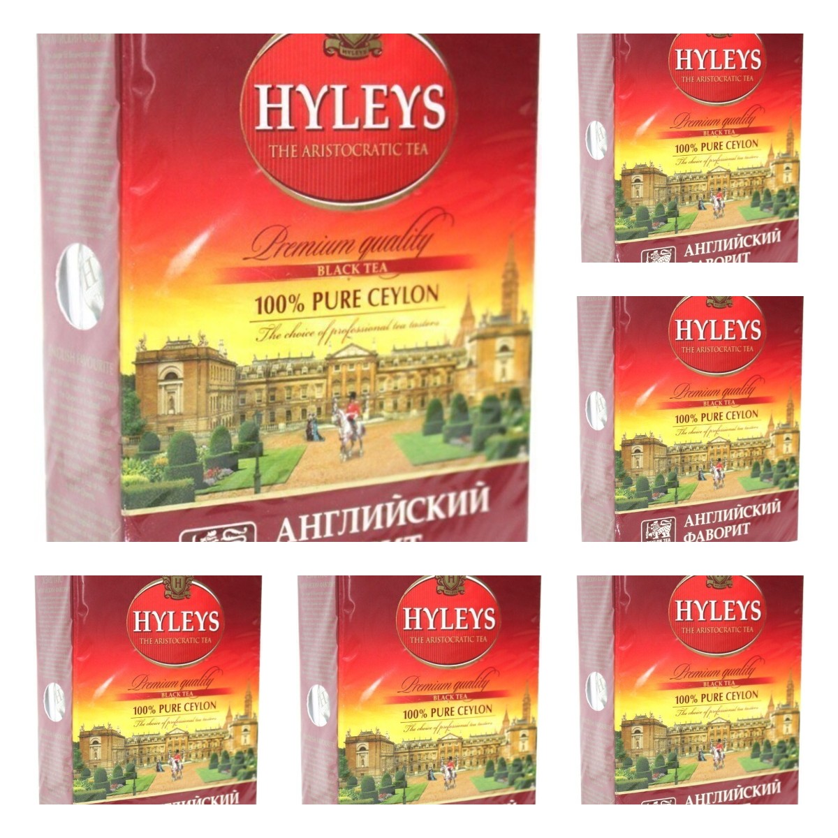 

Чай листовой черный HYLEYS Английский Фаворит, 100 г х 6 шт, Английский Фаворит, 100 г