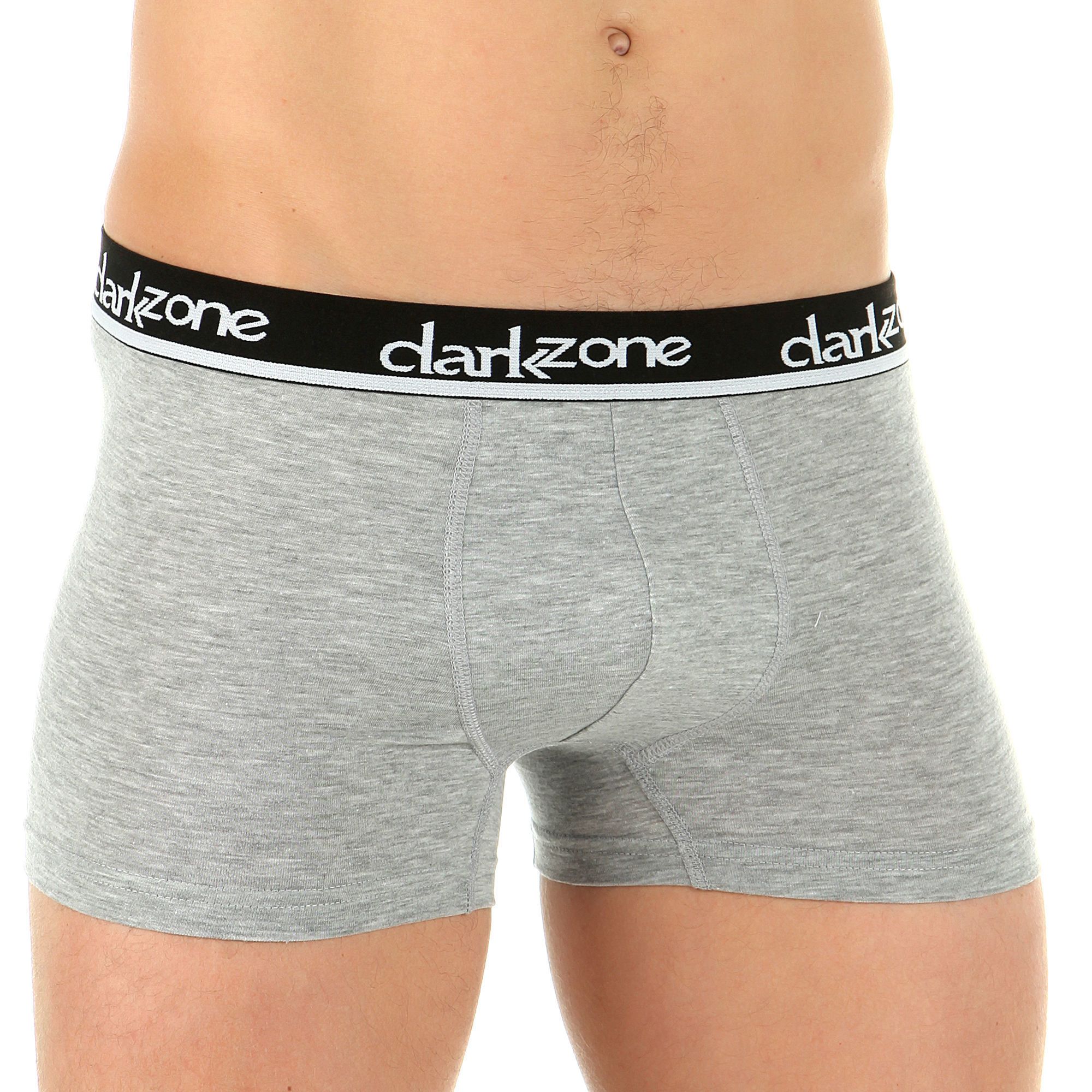 

Трусы мужские DARKZONE DZN2303 серые L 1 штука, Серый, DZN2303