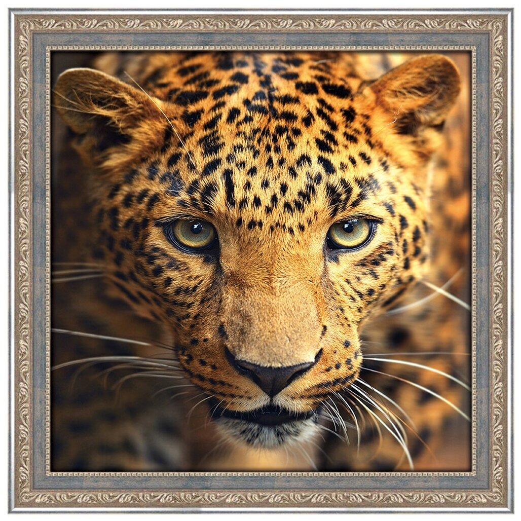 Алмазная мозаика ART CRYSTAL Взгляд леопарда, на подрамнике 40x50 см