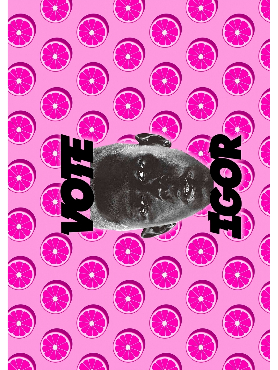 

Постер DRABS А3 Рэпер Tyler the creator IGOR