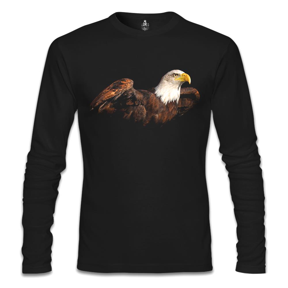 

Свитшот мужской Lord Tshirt SL-531 черный S (доставка из-за рубежа), SL-531