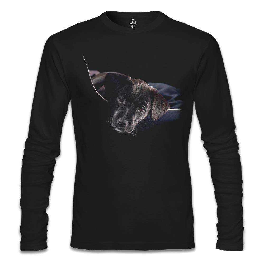 

Свитшот мужской Lord Tshirt SL-621 черный S (доставка из-за рубежа), SL-621