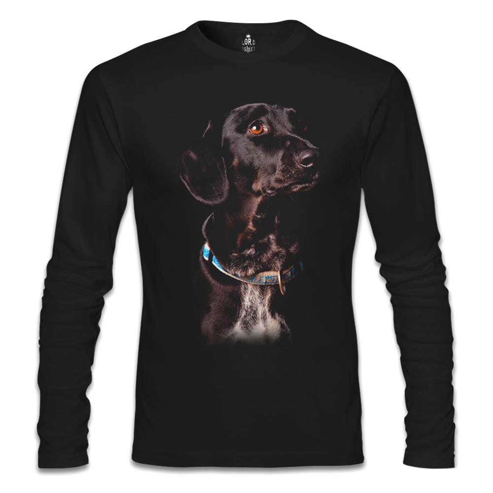 

Свитшот мужской Lord Tshirt SL-249 черный S (доставка из-за рубежа), SL-249