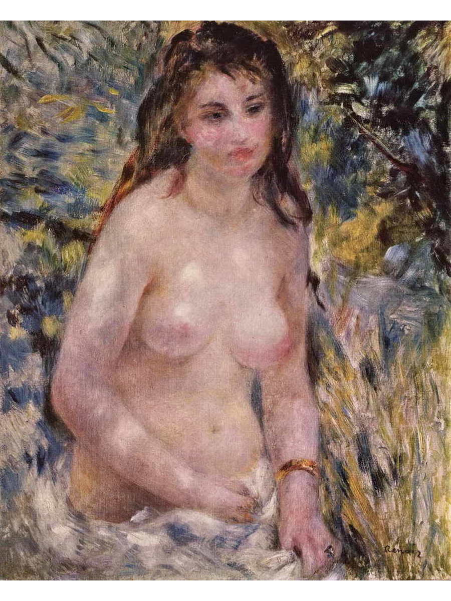 

Постер DRABS A3 Ренуар Пьер Огюст Обнаженная на солнце