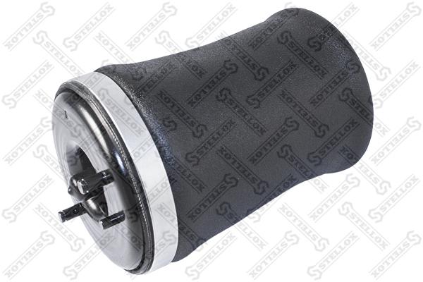

Пневмоподушка задняя правая!S220A S226ABMW X5 E53