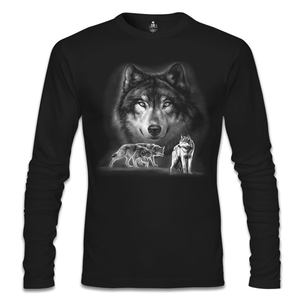 

Свитшот мужской Lord Tshirt SL-827 черный S (доставка из-за рубежа), SL-827