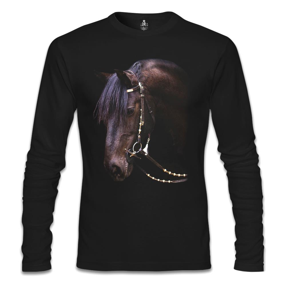 

Свитшот мужской Lord Tshirt SL-881 черный S (доставка из-за рубежа), SL-881