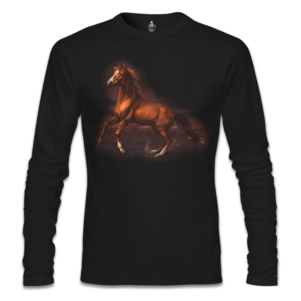 

Свитшот мужской Lord Tshirt SL-882 черный S (доставка из-за рубежа), SL-882