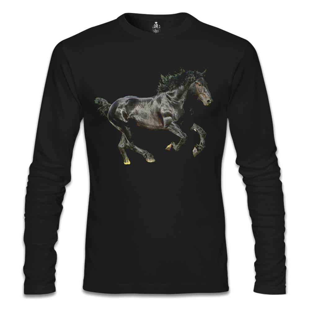 

Свитшот мужской Lord Tshirt SL-883 черный S (доставка из-за рубежа), SL-883