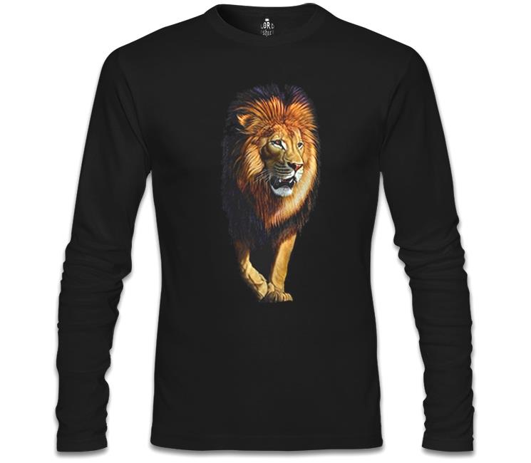 

Свитшот мужской Lord Tshirt SL-1469 черный S (доставка из-за рубежа), SL-1469