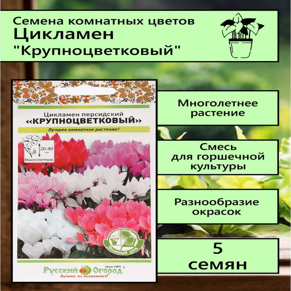 

Семена комнатных цветов Цикламен Крупноцветковый 5 шт