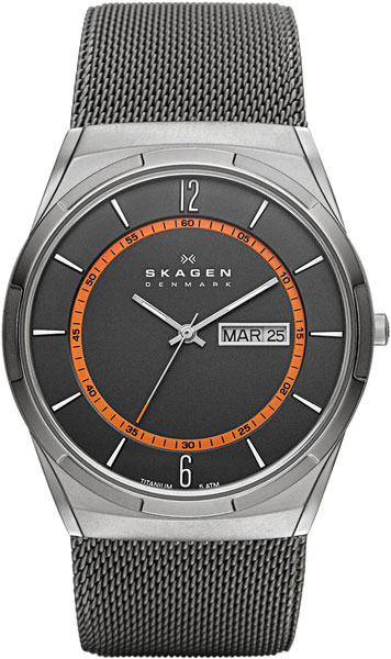 Наручные часы мужские Skagen SKW6007 серебристые