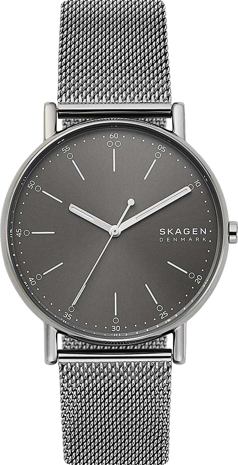 Наручные часы мужские Skagen SKW6577 серебристые