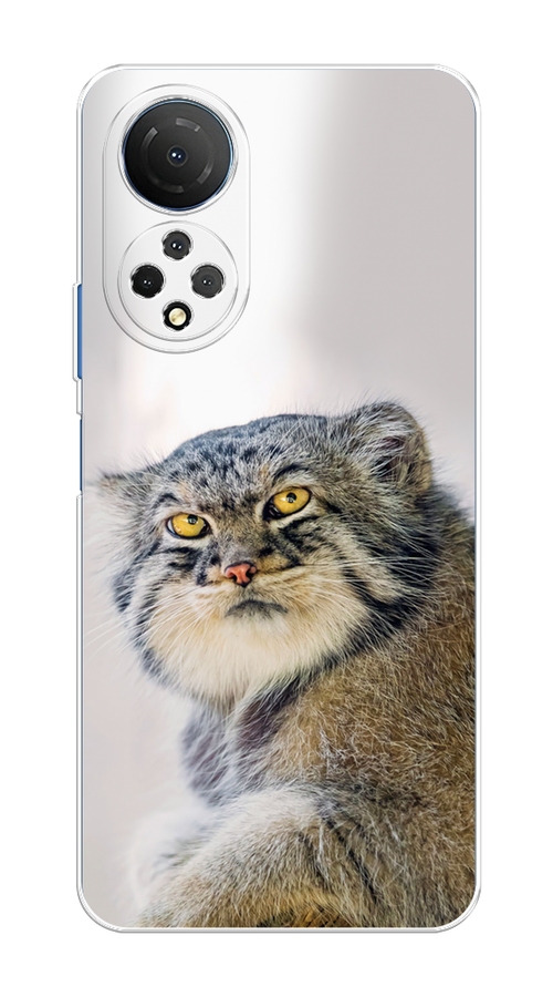 

Чехол на Honor X7 2022 "Кот манул 1", Серый;белый;желтый, 6108850-1