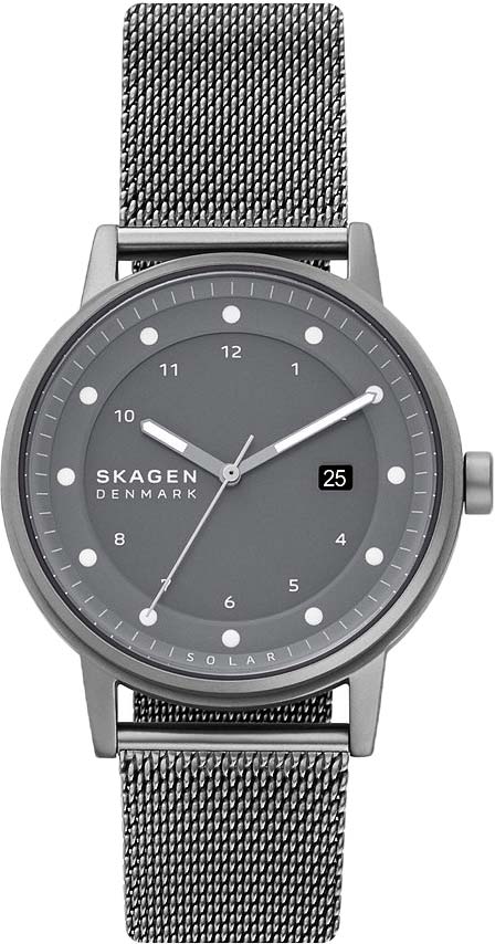 Наручные часы мужские Skagen SKW6741 серебристые