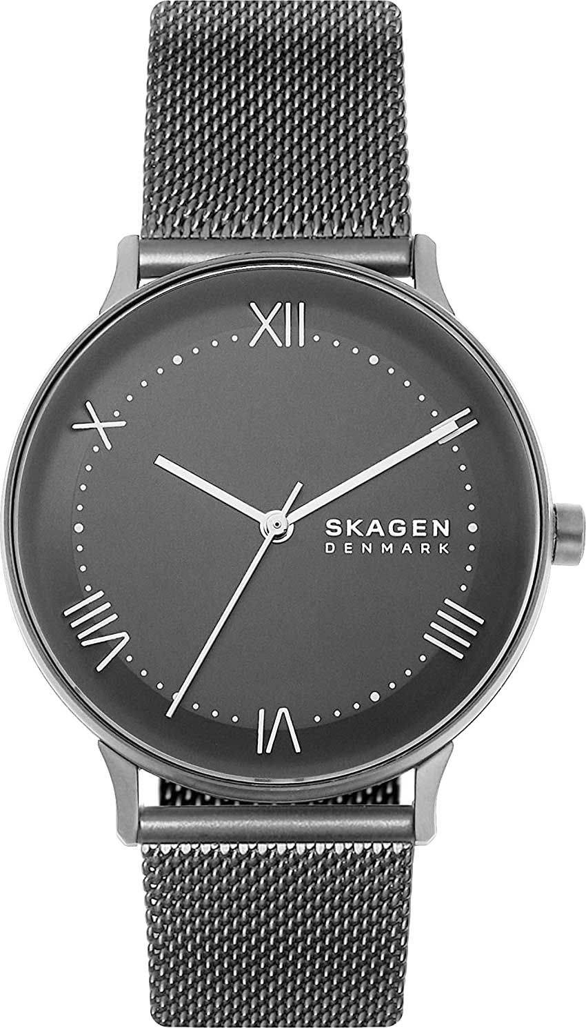 Наручные часы мужские Skagen SKW6624 серые