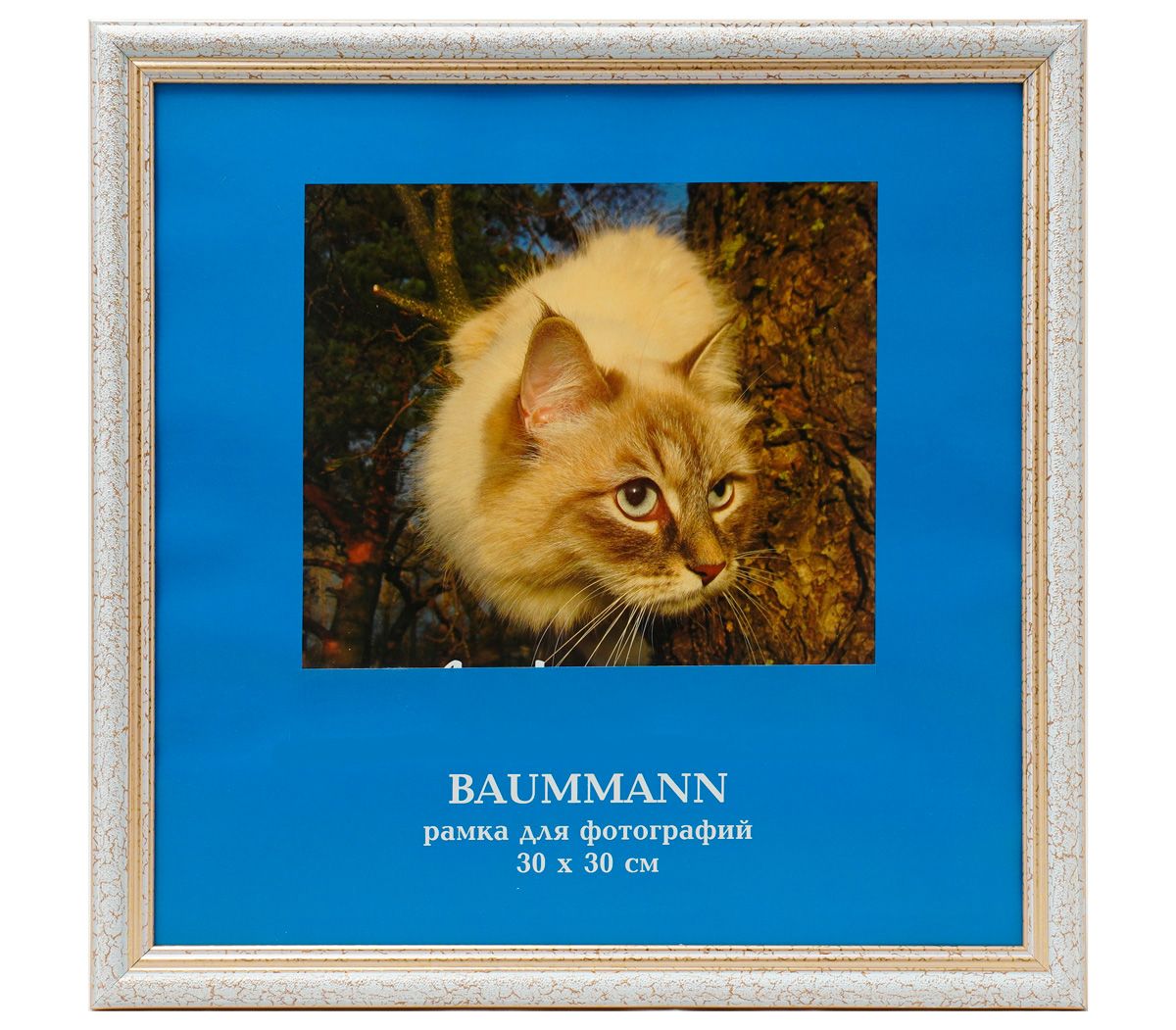 

Фоторамкa Baummann 30x30 см U4, Белый;золотистый, U4 (коралловый)