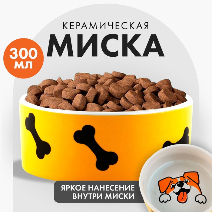 

Миска для собак Пушистое счастье Веселый пес, желтая, керамика, 300 мл, Белый;желтый
