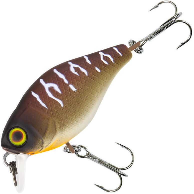 

Воблер Jackall CHUBBY 38 SILENT # Bug Tiger, Коричневый;белый;черный, CHUBBY