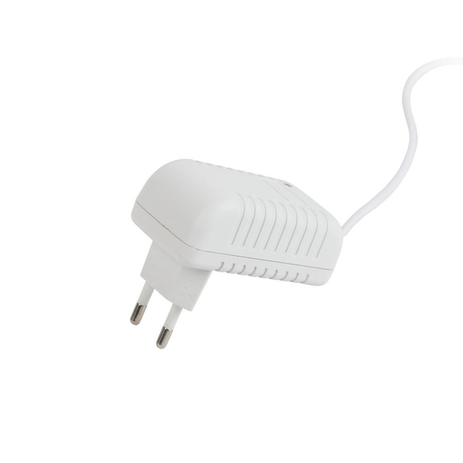 

Настольная лампа Эра NLED-462-10W-W белый