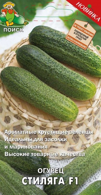 

Семена огурец Поиск Стиляга F1 733203 1 уп.