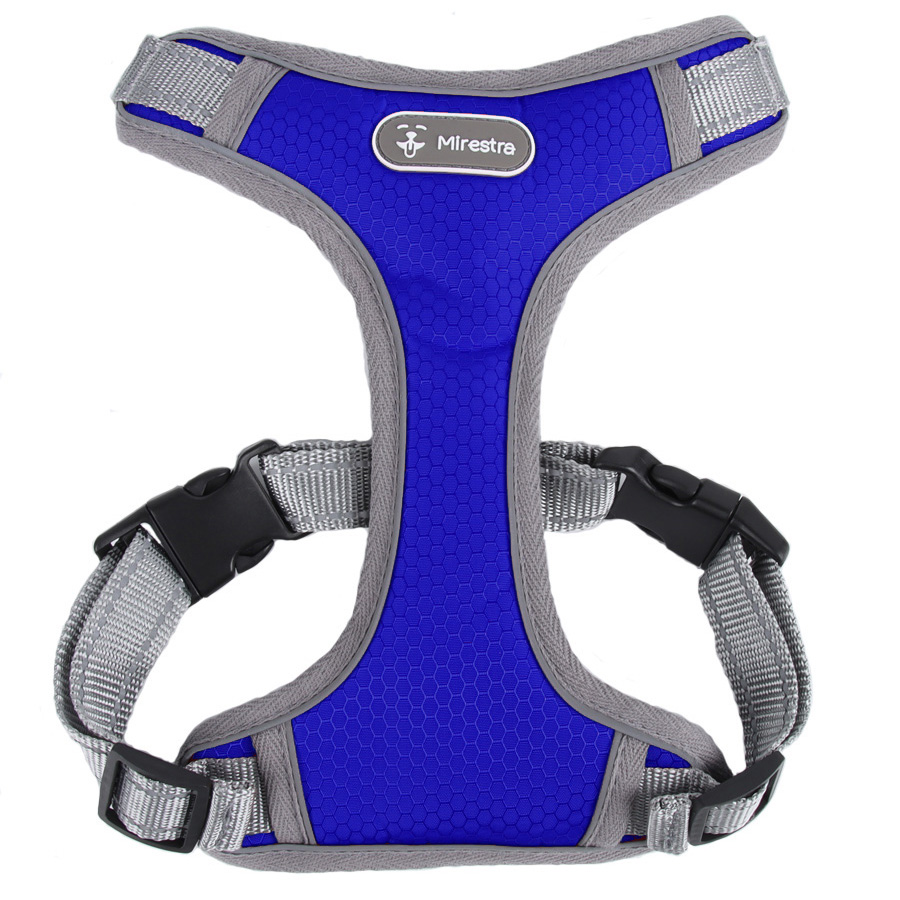 Шлейка для собак Mirestra, прогулочная, синий, нейлон, размер XL