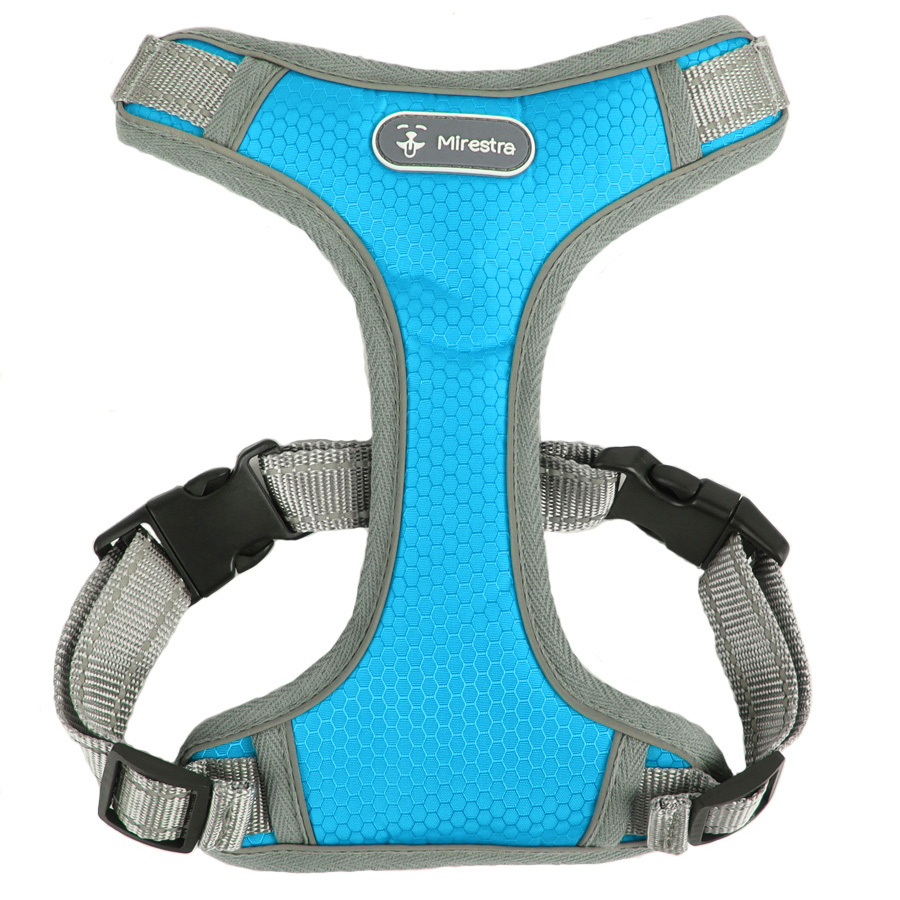 Шлейка для собак Mirestra, прогулочная, голубой, нейлон, размер S