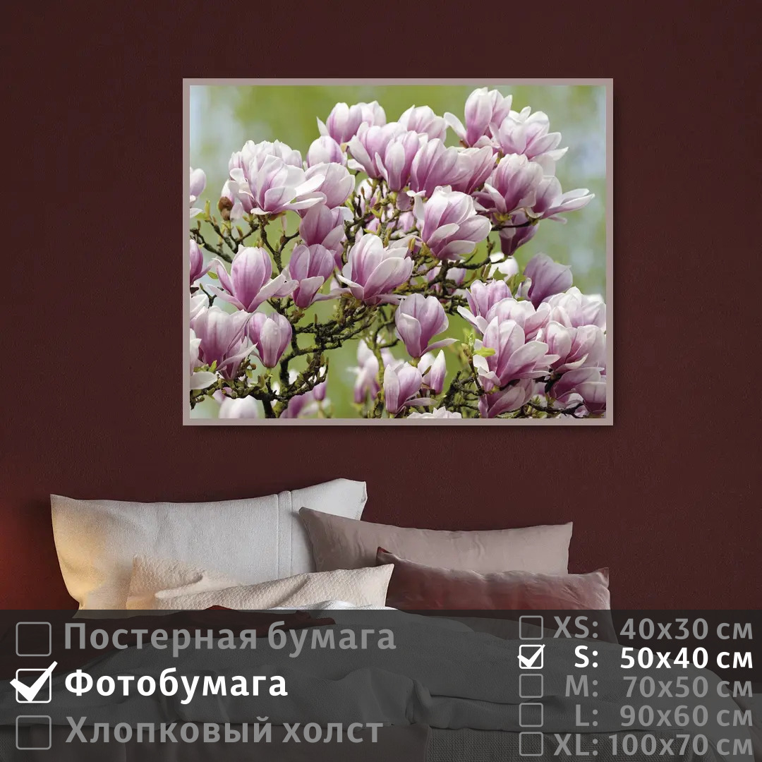 

Постер на фотобумаге ПолиЦентр Ветка магнолии 50х40 см, ВеткаМагнолии