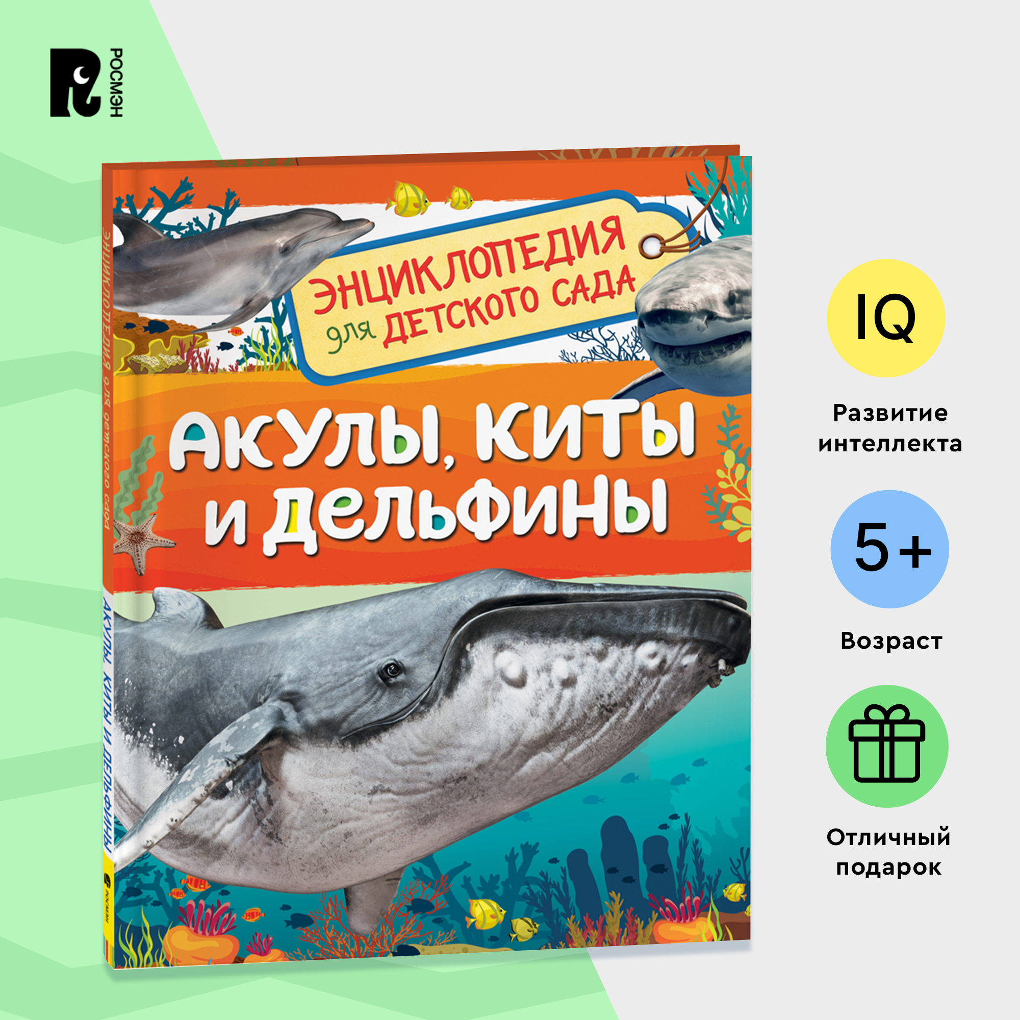 

Акулы, киты и дельфины, Акулы, киты и дельфины (Энциклопедия для детского сада)