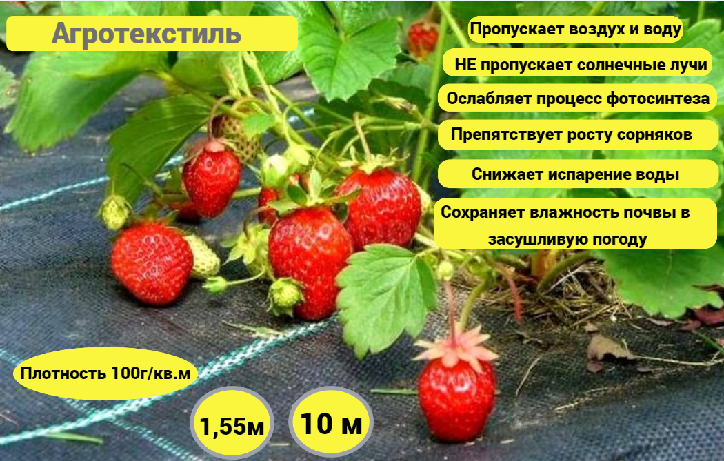 Агротекстиль ХозАгро 1.55мх10м