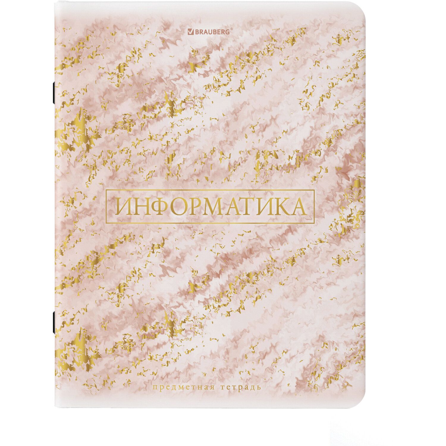 

Набор из 10 шт, Тетрадь предметная Brauberg PASTEL 48 л., SoftTouch,Информатика