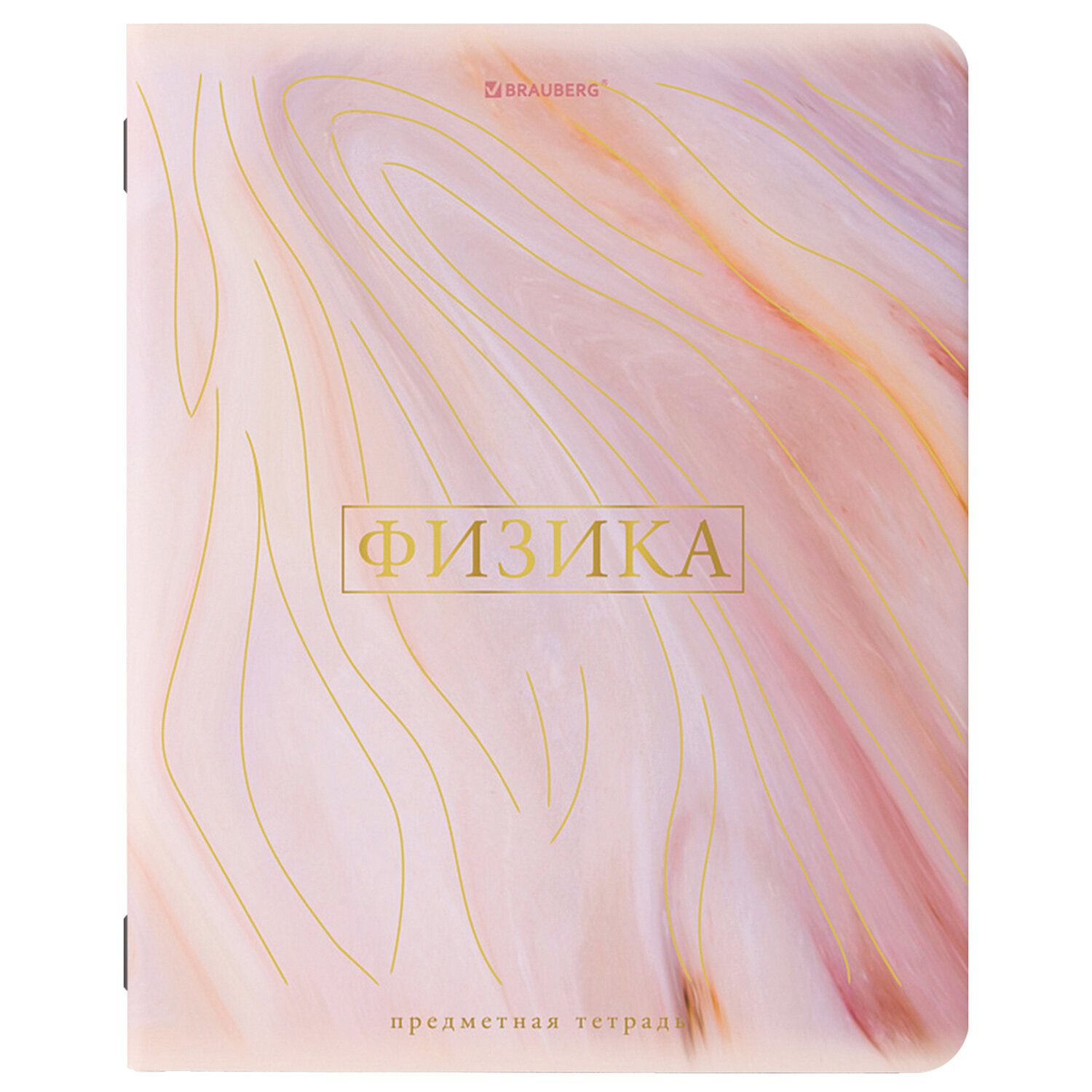 

Набор из 10 шт, Тетрадь предметная Brauberg PASTEL 48 л., SoftTouch,ФИЗИКА