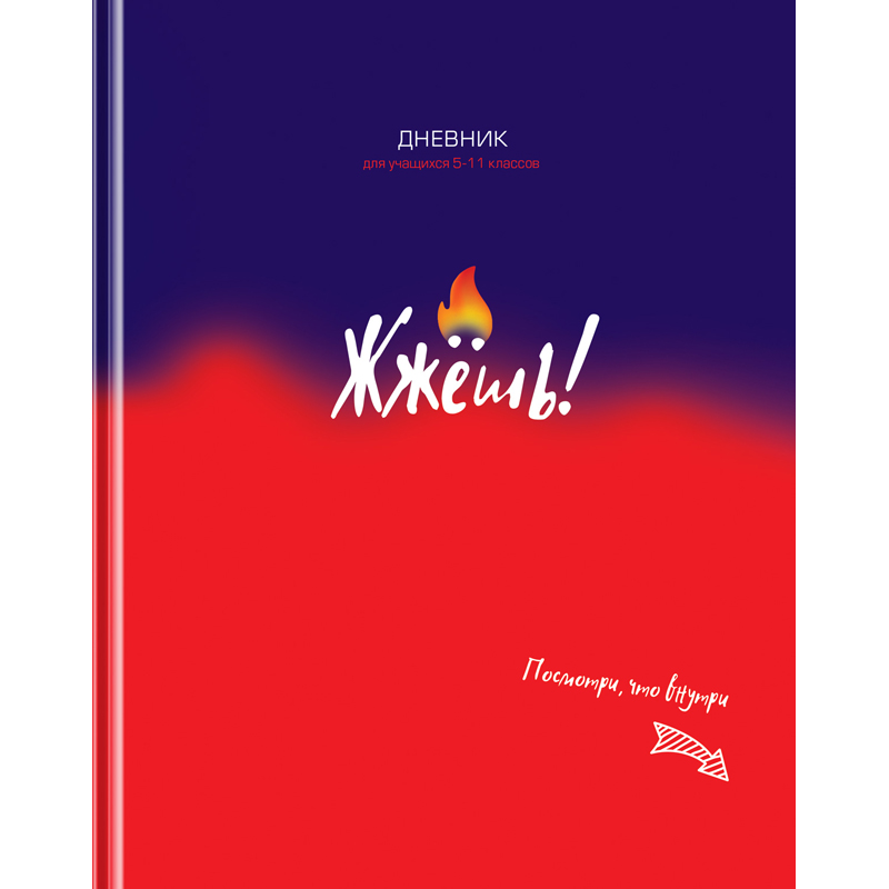 

Дневник 5-11 кл. 48л. (твердый) BG "Жжешь!", матовая ламинация, Разноцветный