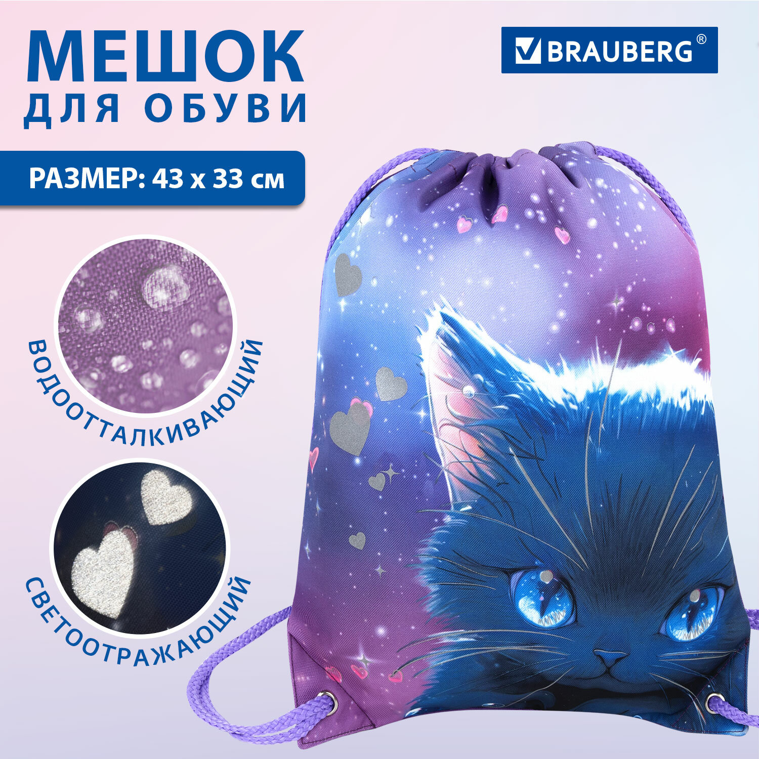 

Мешок для обуви Brauberg Anime cat, сумка для сменки в школу, чехол с карманом, подкладкой, Разноцветный, 424