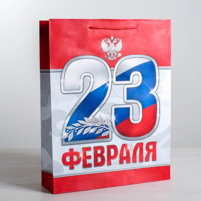 

Пакет ламинированный вертикальный «23 февраля!», MS 18 х 23 х 10 см, Разноцветный