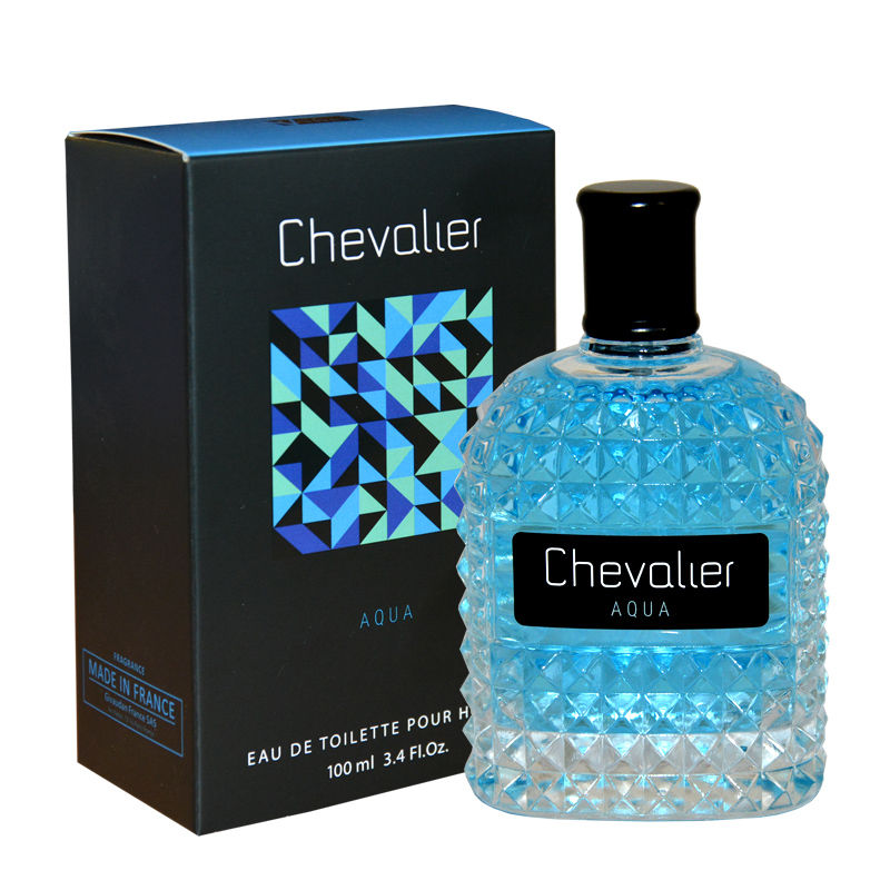 Туалетная вода Delta parfum Chevalier Aqua мужская, 100 мл будущее для молодежи мизвор айванхов