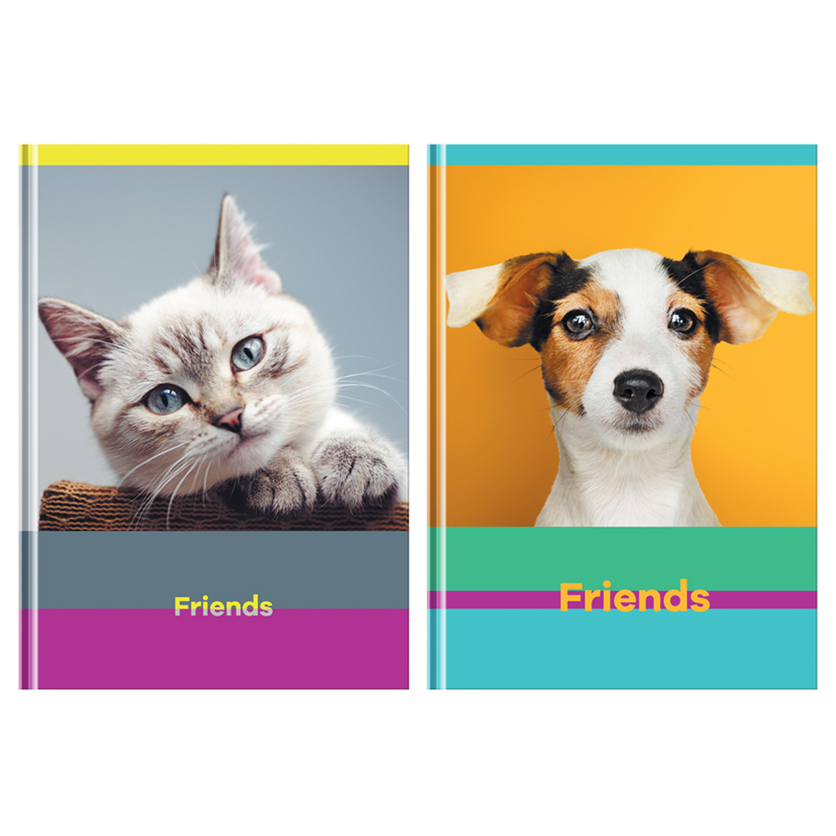 

Бизнес-блокнот А5, 80л., BG "Friends", глянцевая ламинация