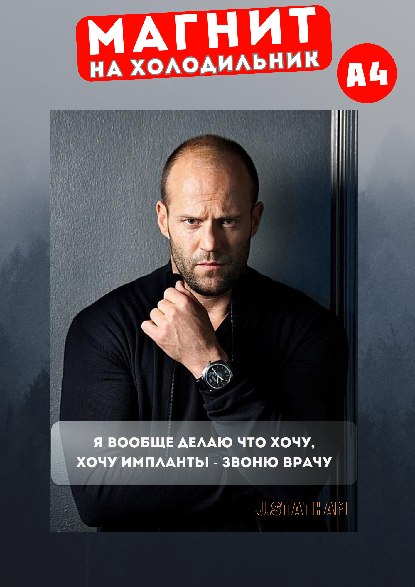 

Магнит на холодильник Магнитная история Джейсон Стетхем сте22, Джейсон Стетхем